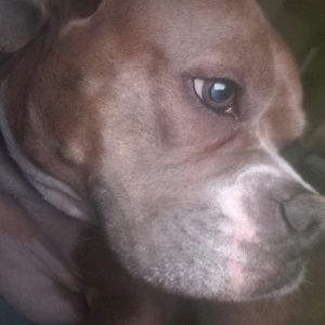 Meet your Posher, Mary